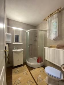 a bathroom with a shower and a toilet and a sink at Cabana veverita in Sîntimbru-Băi