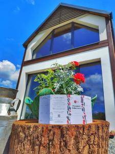 une caisse assise au-dessus d'un stuc d'arbre avec des fleurs dans l'établissement Pod Aniołem, à Świerzawa