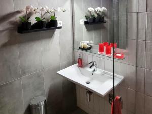 a bathroom with a sink and a mirror at B40 Green ApartRooms in Budapest +71 photos