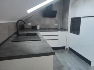 a kitchen with a sink and a refrigerator at Apartment Loft in Sinj