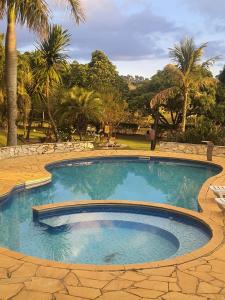 a swimming pool in a yard with palm trees at Chácara Rancho da Coruja in Itu
