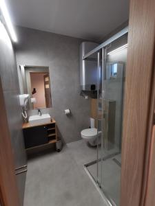 Sunrise Marina Apartamenty في ملنك: حمام مع مرحاض ومغسلة ودش