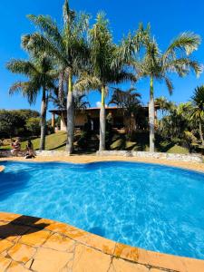 a swimming pool with palm trees in front of a house at Chácara Rancho da Coruja in Itu