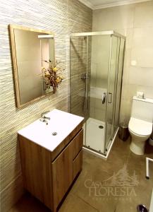 uma casa de banho com um chuveiro, um lavatório e um WC. em Casa da Floresta na Covilhã