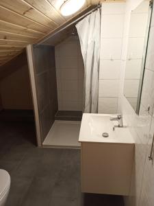 a bathroom with a sink and a shower and a toilet at Kwatera u Stasia in Szczebrzeszyn