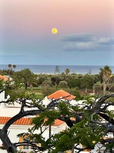 a view of the ocean from a resort with a tree at Casa Atlantica Golf & Sea view in Caleta De Fuste