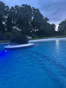 uma grande piscina de água azul com uma planta no meio em Hotel Victoria em Moyogalpa