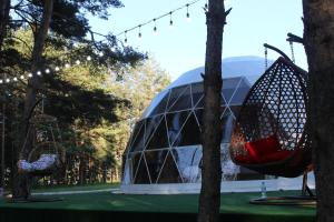 Garður fyrir utan Daxvalley Glamping