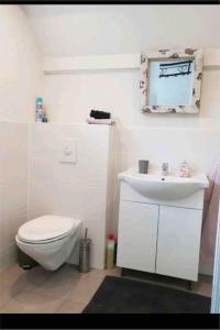 a white bathroom with a toilet and a sink at Leuke bungalow in Noord-Holland in Opmeer