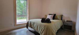 um quarto com uma cama e uma janela em La Futaie em Saint-Donat-de-Montcalm