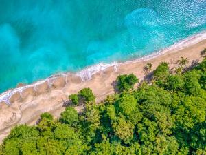 an overhead view of a beach with trees and the ocean at The Oasis at Puket in Manzanillo