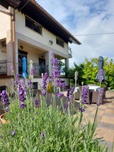 a garden with purple flowers in front of a house at Apartman Nada in Ozalj