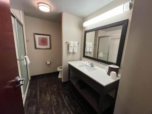 Koupelna v ubytování Quality Inn & Suites