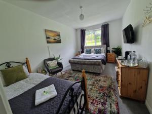 Cable Island Bed and Breakfast في كورك: غرفة معيشة مع سرير وأريكة
