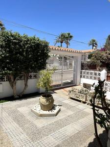cortile con un albero in vaso di fronte a una casa di Detached Pool Villa, idyllic setting 450m to beach a Caleta de Velez