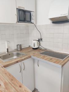 - un comptoir de cuisine avec évier et four micro-ondes dans l'établissement Lolas Cozy Studio, à Grenade