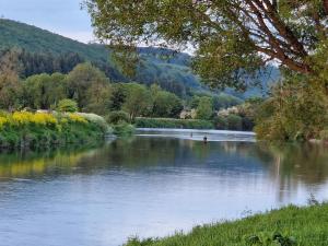 Naturlandschaft in der Nähe des Bed & Breakfasts