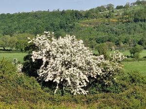 Naturlandschaft in der Nähe des Bed & Breakfasts