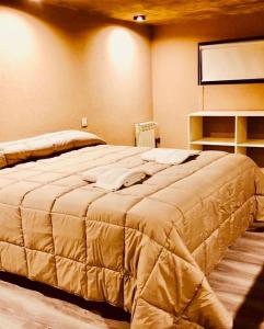 1 dormitorio con 1 cama grande en una habitación en Loft Girasoles Vla en Villa La Angostura