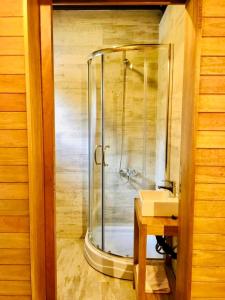 a shower with a glass door next to a sink at Loft Girasoles Vla in Villa La Angostura