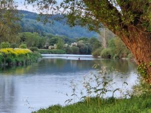 a river with a person canoeing on it at Cable Island Bed and Breakfast in Cork