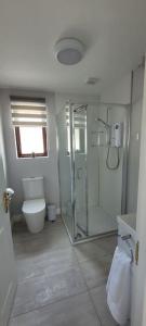 a bathroom with a glass shower and a toilet at Willow Tree Cottage in Ballycastle +14 photos