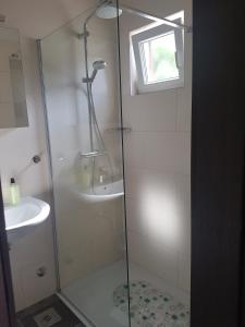 eine Dusche mit Glastür neben einem Waschbecken in der Unterkunft Holiday house with a parking space Milna, Brac - 20140 in Milna