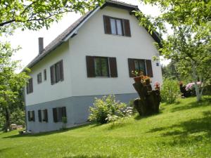une maison blanche avec des fenêtres noires sur une cour verdoyante dans l'établissement House Nina, à Poljanak