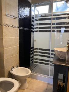 a bathroom with a shower and a toilet and a sink at Melipal Flats in San Carlos de Bariloche