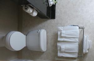 a bathroom with a toilet paper dispenser and towels at Holiday Inn Hotel & Suites Davenport, an IHG Hotel in Davenport