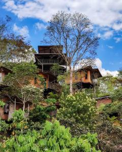 un edificio junto a una colina con árboles en Shapingo Wasi Eco Lodge en Moyobamba