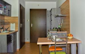 Kuhinja oz. manjša kuhinja v nastanitvi Gorgeous Apartment In Rowy With Wifi