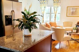 eine Küche mit einer Theke mit einer Topfpflanze darauf in der Unterkunft 10 Mins Downtown 20 Mins Airport PET FRIENDLY in Decatur