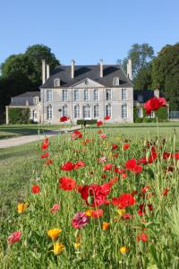 a field of flowers in front of a large house at Chambres d'Hôtes Château de Martragny in Martragny