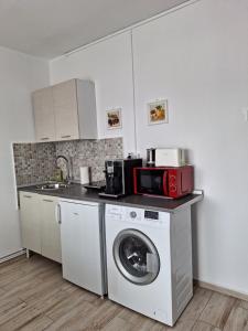 Køkken eller tekøkken på FARMEC Apartament + 7 billeder