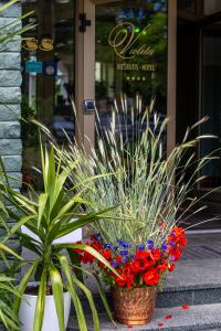 Fotografie z fotogalerie ubytování Hotel Violeta v destinaci Druskininkai
