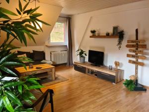 TV a/nebo společenská místnost v ubytování Waldblick Ferienwohnungen