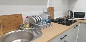 W kuchni znajduje się umywalka i kuchenka mikrofalowa. w obiekcie R-PUNKT POKOJE GOŚCINNE w mieście Płock