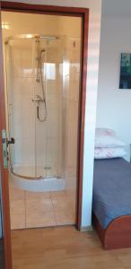 prysznic ze szklanymi drzwiami obok łóżka w obiekcie R-PUNKT POKOJE GOŚCINNE w mieście Płock