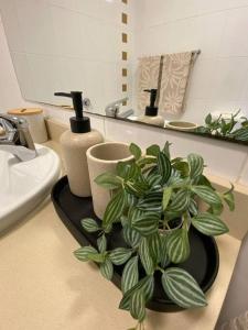 a bathroom with a potted plant and a sink at Apartment in Chiswick with Pool, sauna & Gym in Sydney