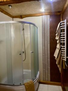 La salle de bains est pourvue d'une douche avec une porte en verre. dans l'établissement Sofiya, à Mykulychyn