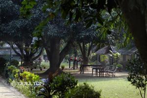 un parque con mesas, sillas y árboles en Tiger Tops Tharu Lodge en Chitwan