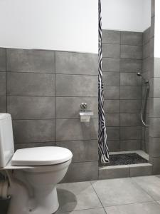 ワルシャワにあるWilla Pirsのバスルーム(トイレ、シャワー付)