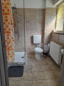 Un pequeño baño con inodoro y ducha. en Pensiunea Gil, en Predeal