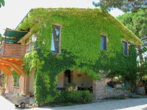 マルシャーノにあるFarmhouse in Marsciano with vineyards olive grovesの蔦屋敷