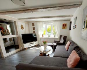 ein Wohnzimmer mit einem Sofa und einem TV in der Unterkunft Hochwertiges Fischerhus mit Terrasse und Grill in Greifswald