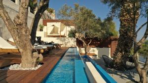 a swimming pool in the middle of a yard with trees at Pafsilipon Suites in Ermoupoli