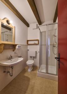 a bathroom with a shower and a toilet and a sink at Haus Tirol in Molini di Tures