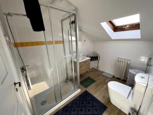 a bathroom with a shower and a toilet at skyaccommodations Studio 3+ kitchen and double bed in Coimbra