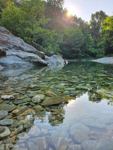 Billede fra billedgalleriet på GITES LES TILLEULS i Alès